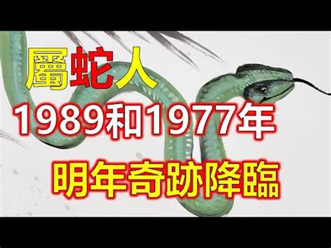 土蛇之命|1989年属蛇的是什么命，89年出生的蛇五行属什么